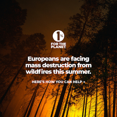 Wildfires with text that says, "Europeans are facing mass destruction from wildfires this summer."