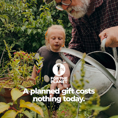 A young child looking at plants with text that says, "A planned gift costs nothing today."