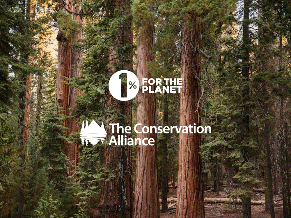 An op-ed by Kate Williams and Paul Hendricks.