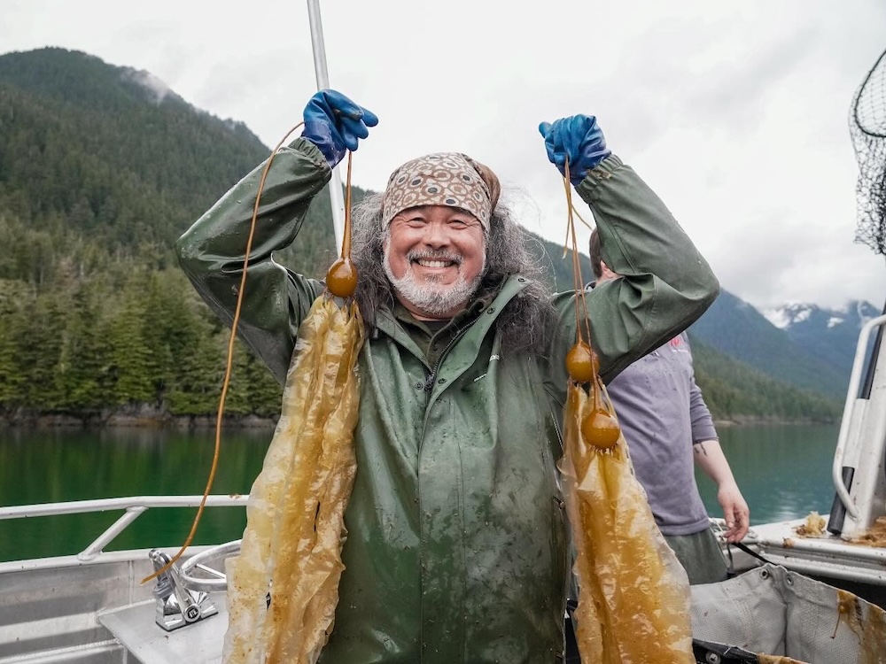 Meet Indigenous-led organizations working in 5 American biomes.