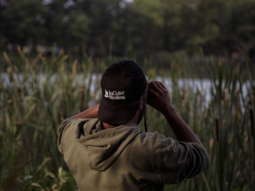 How corporate philanthropy transformed In Color Birding’s brand through a partnership with Truth & Consequences.