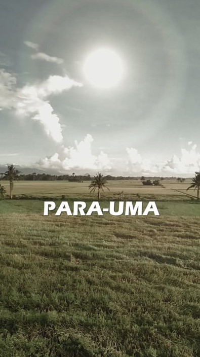 Stills from winning film