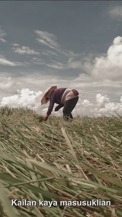 Stills from winning film