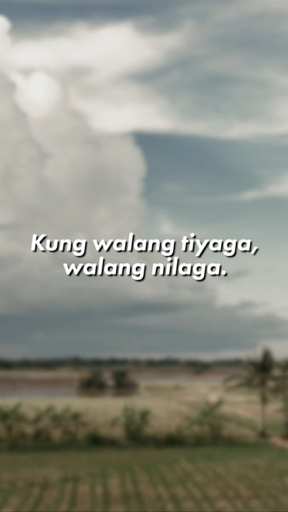 Stills from winning film