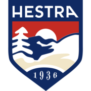 Hestra Gloves