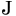 Japebo