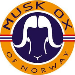 Musk Ox