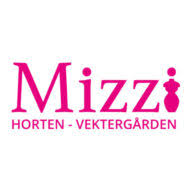 Mizzi