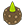 Thuja Planet