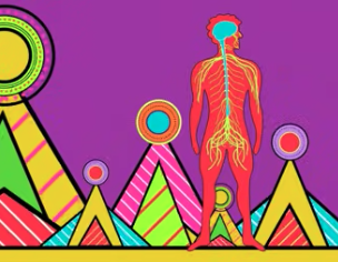 Crash Course: Neuroscience