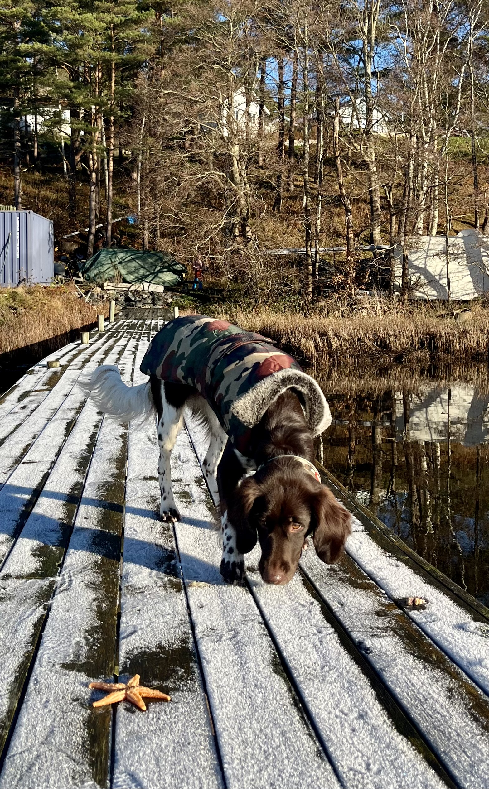 Konsult, bollplank och utbildare för ledarskap, utveckling och kommunikation