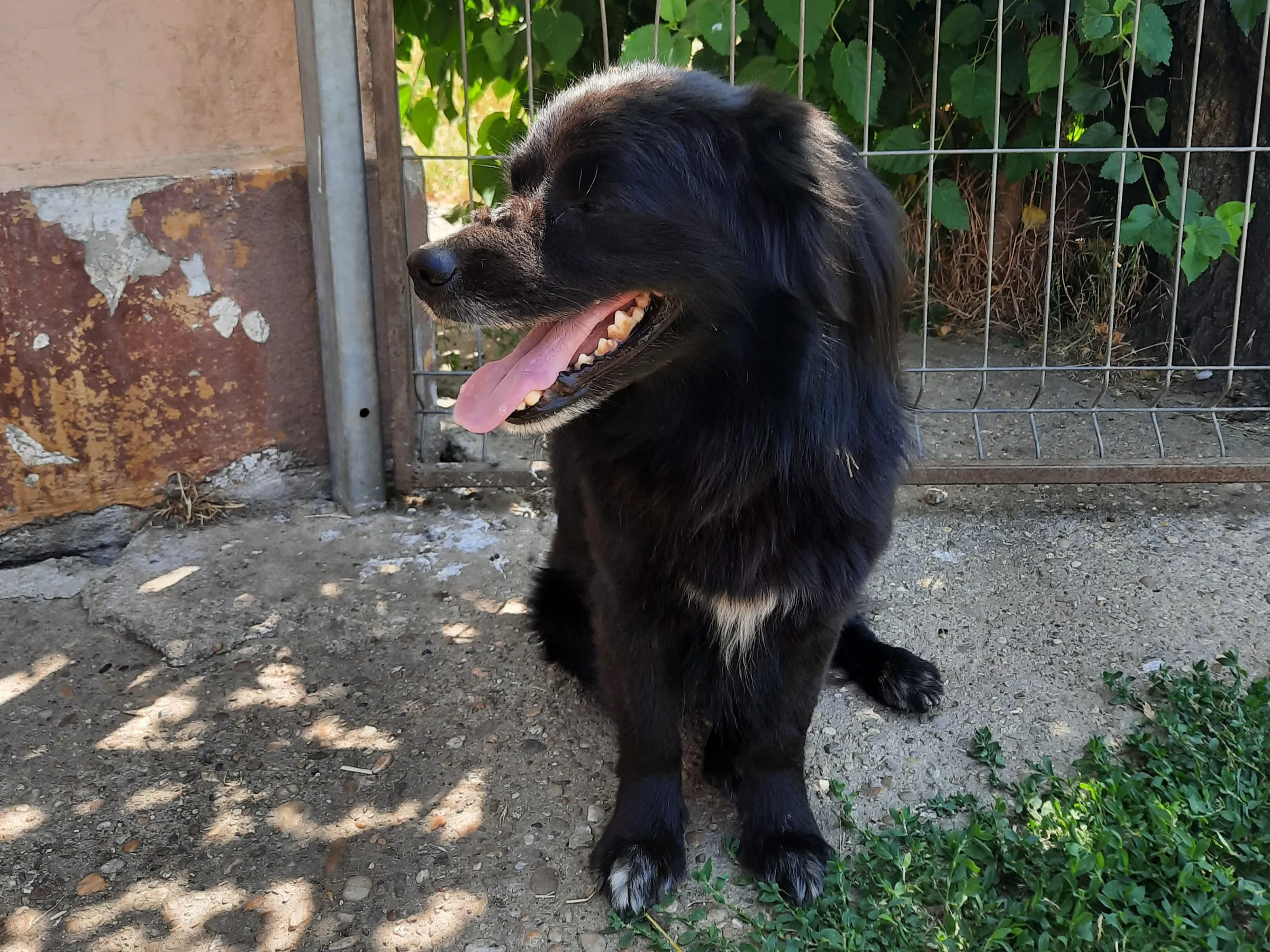 Max
