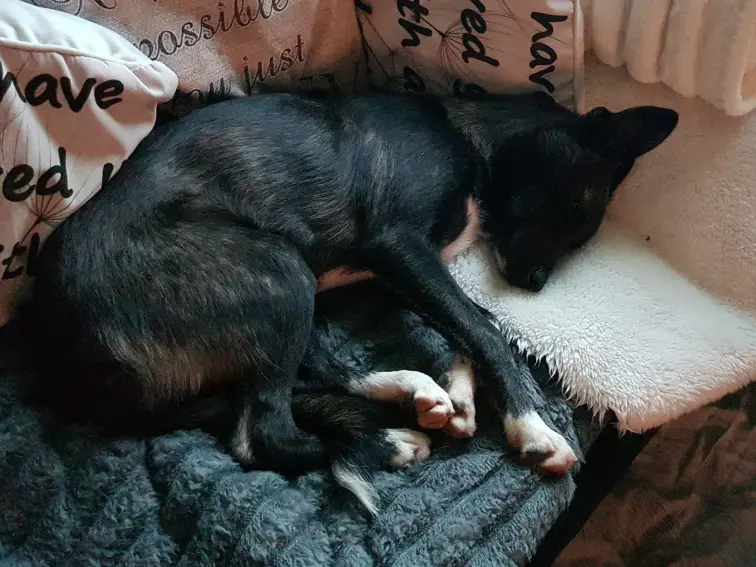 Nora