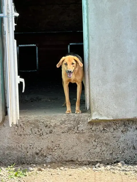 Biala