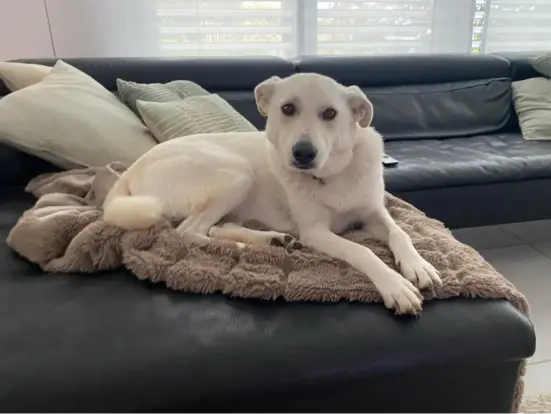 Fiona