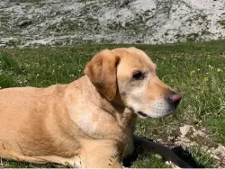 Frida (ehemals Mel)