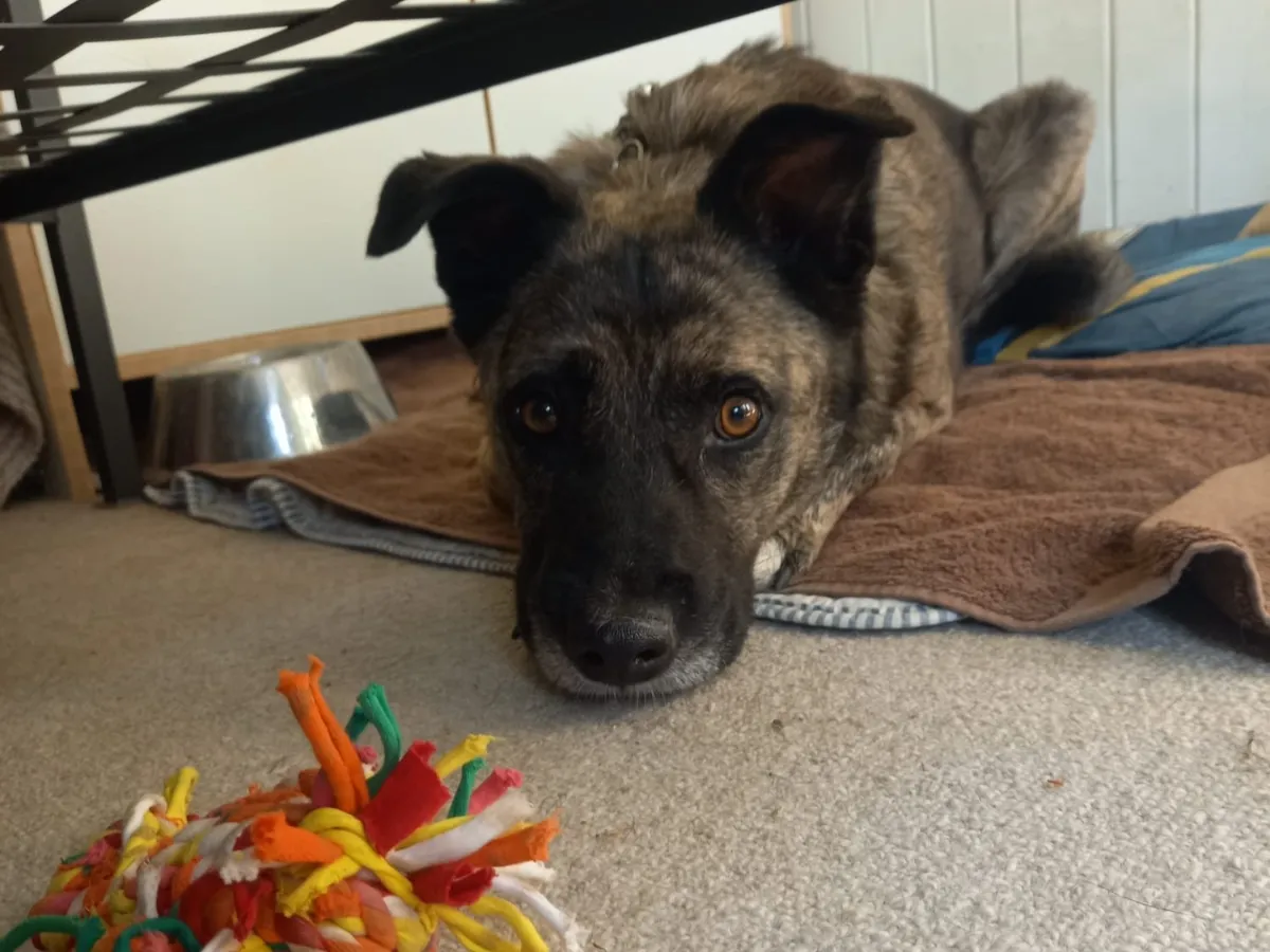 Sam
