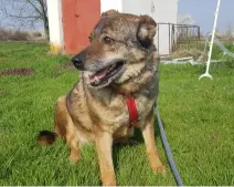 Tina