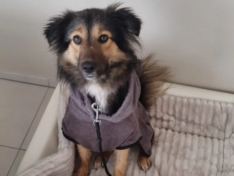 Lilly (ehemals Melanie)