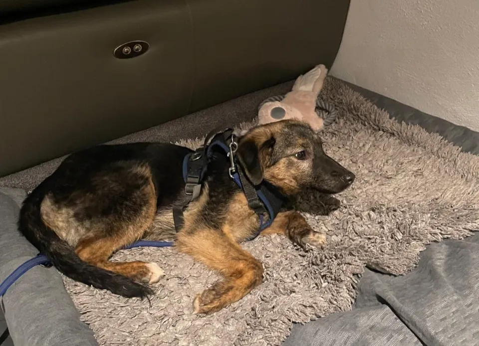 Hailey (ehemals Tania)