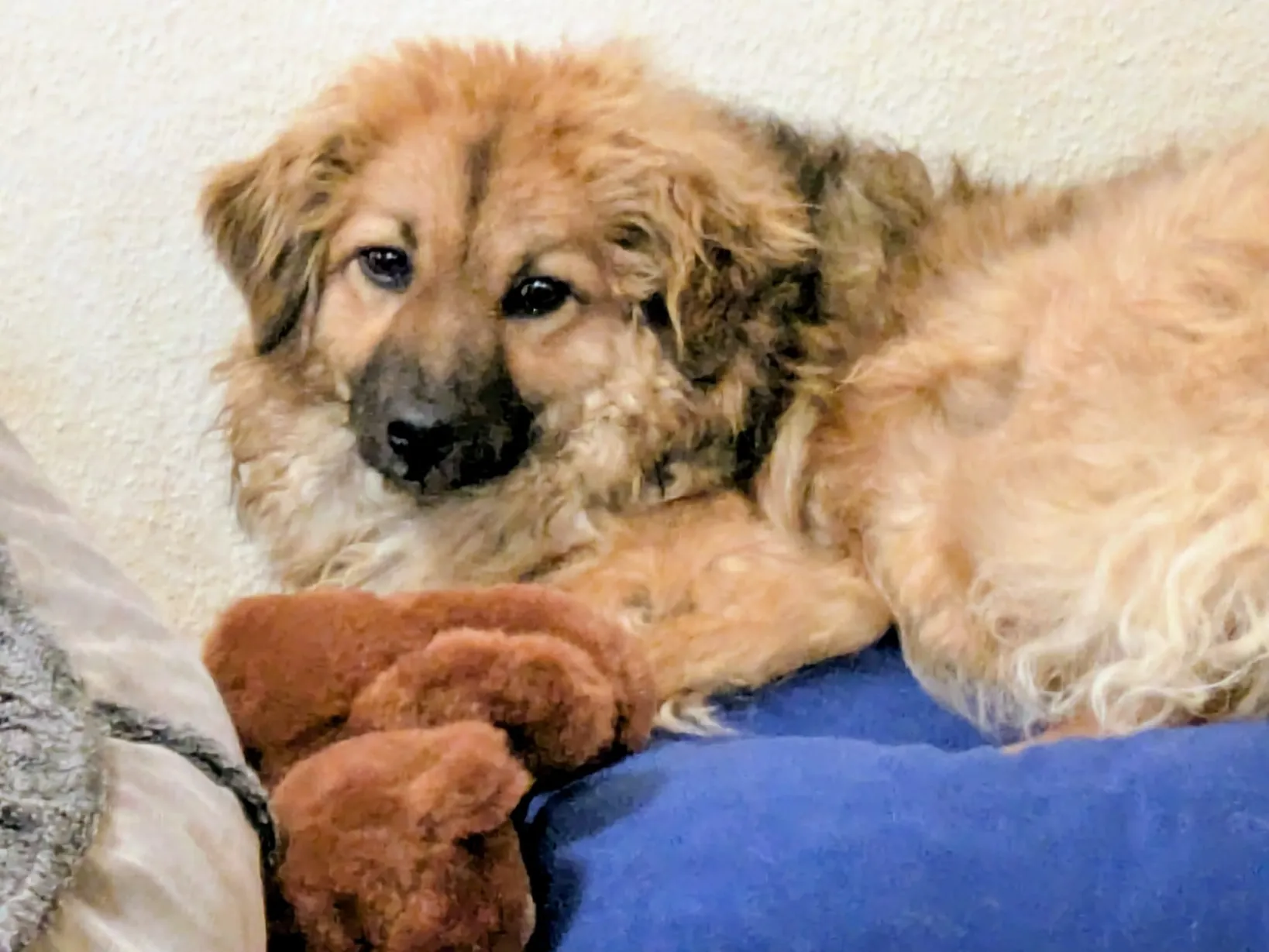 Freyja (ehemals Olga)