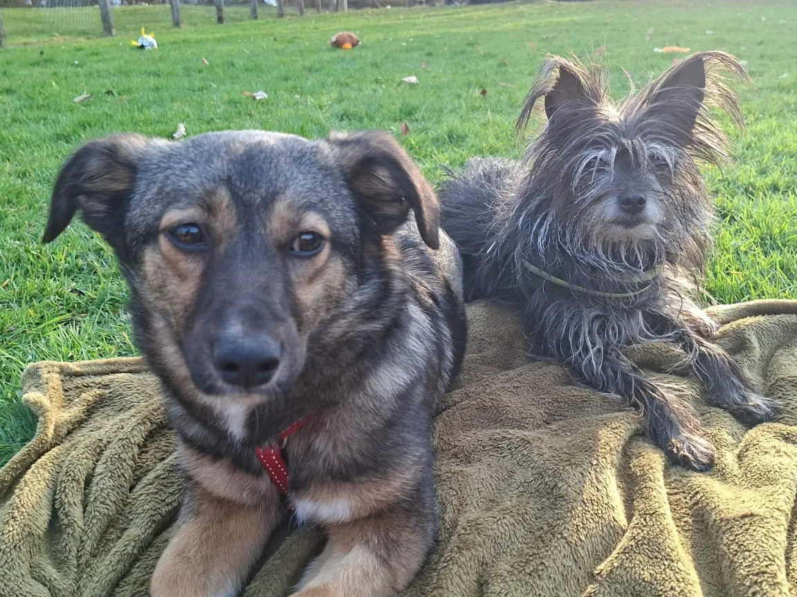 Malice (ehemals Hera)