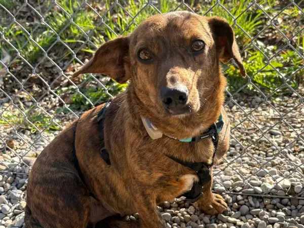 Wilma (ehemals Luna)