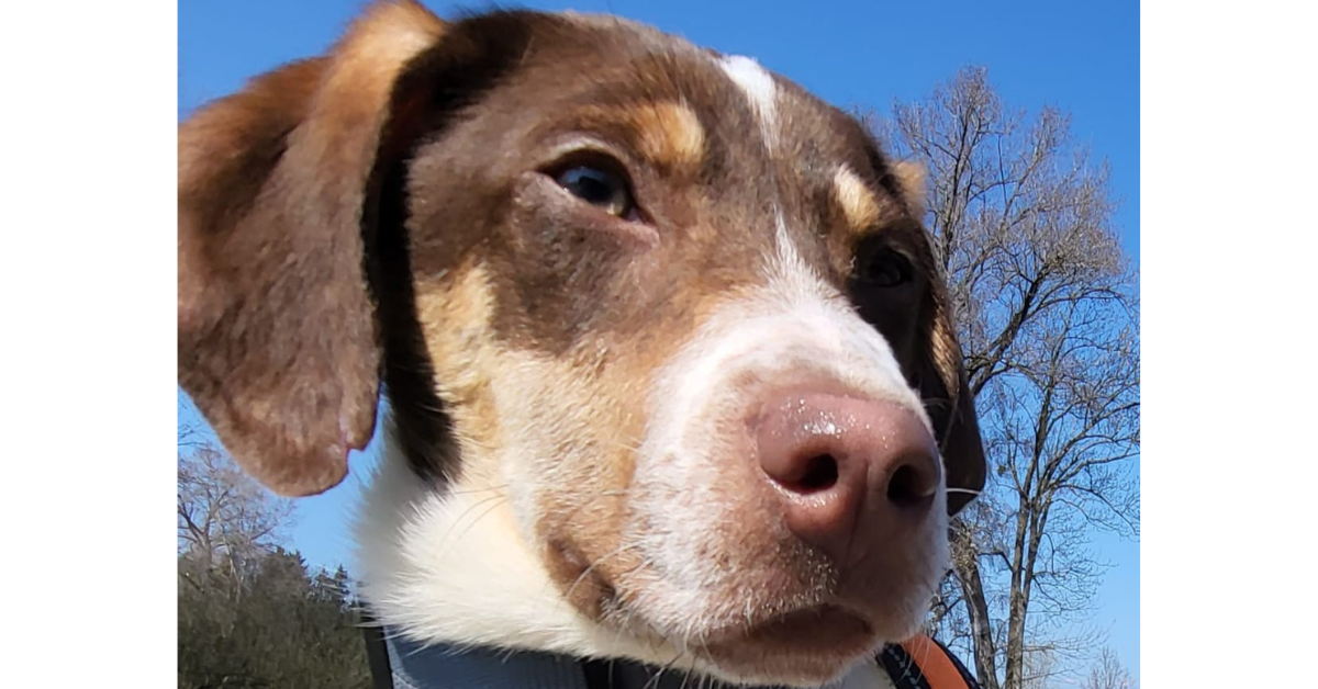 Lotti (ehemals Raksha) 