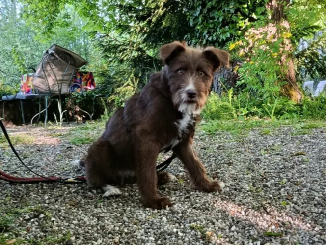 Anika (ehemals Bibi)