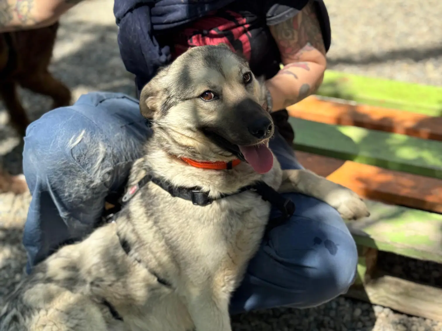 Ruby (ehemals Karma)