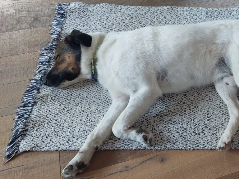 Eddy (ehemals Yukon) 