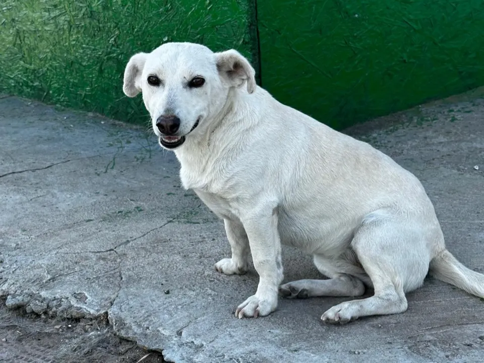 Samira