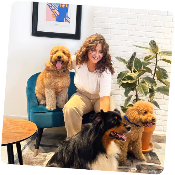 Lächelnde junge Frau sitzt in einem gemütlichen Wohnzimmer mit drei Hunden – einem Goldendoodle, einem Australian Shepherd und einem Pudel.
