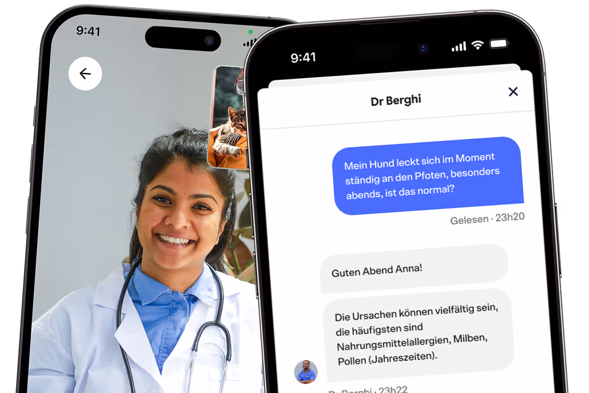 Online-Tierarzt Beratung via Dalma und FirstVet