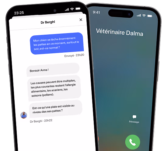 Téléconsultation vétérinaire sur smartphone – chat et appel avec un vétérinaire