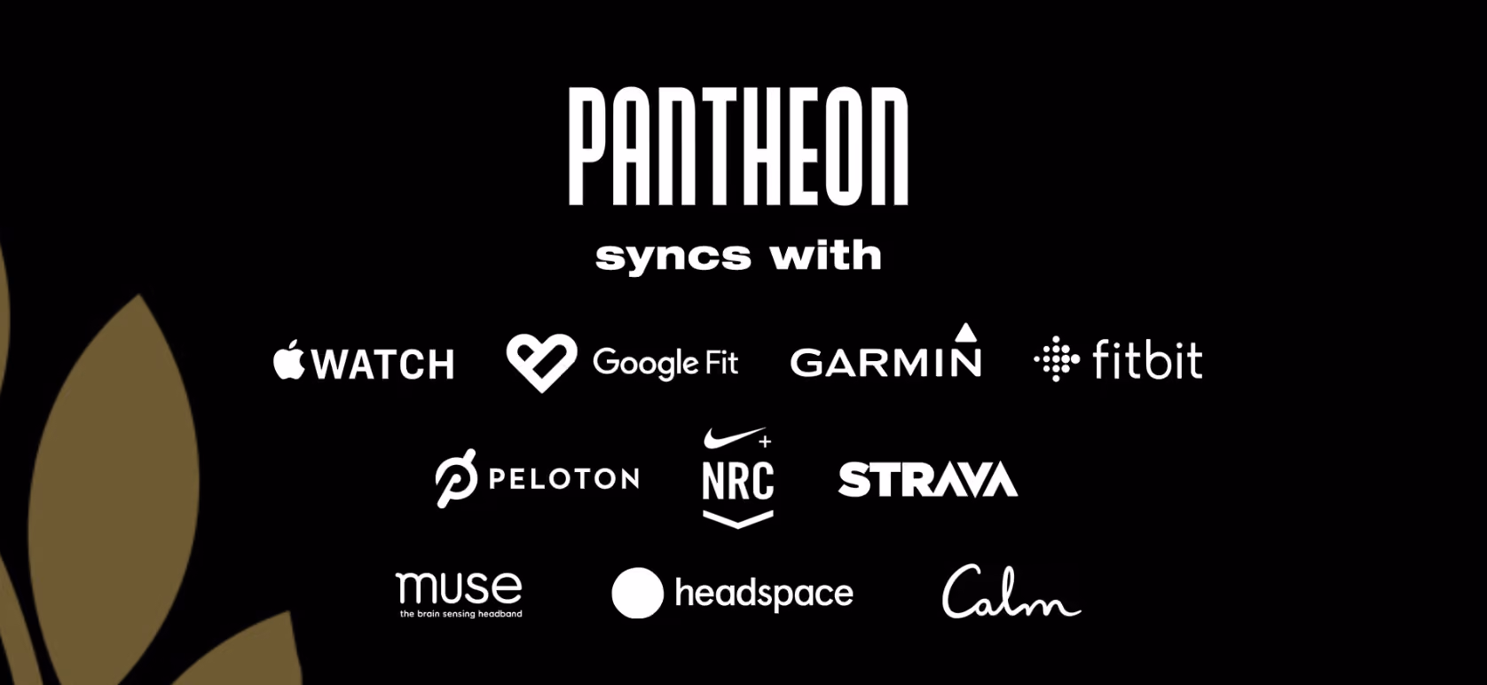 What Pantheon syncs with