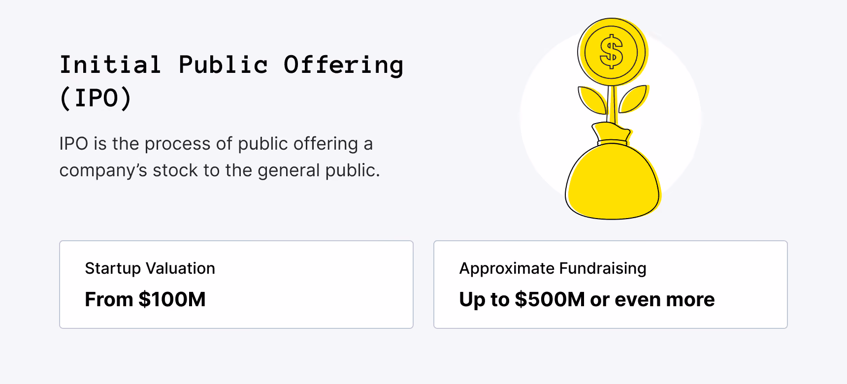 Initial Public Offering (IPO)