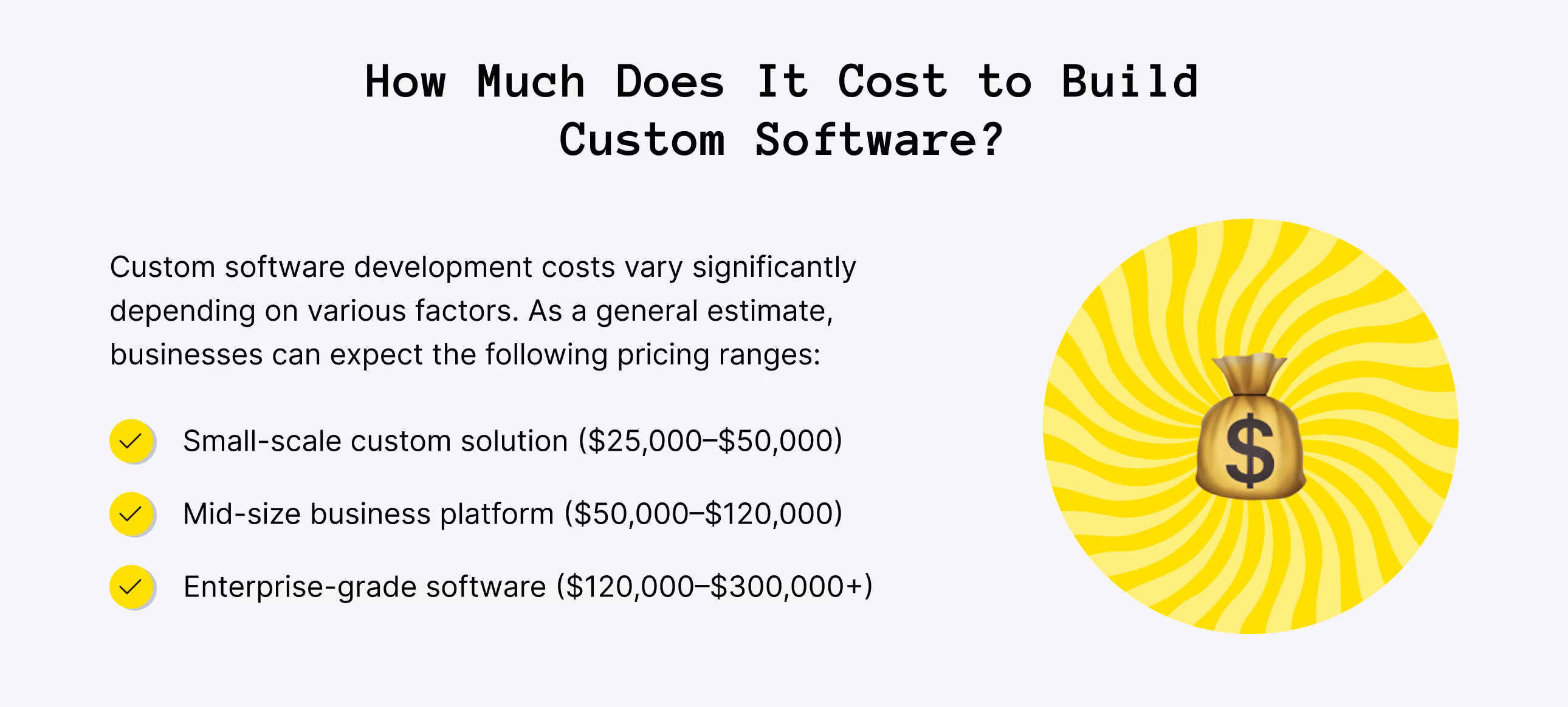 How Much Does Custom Software Development Cost