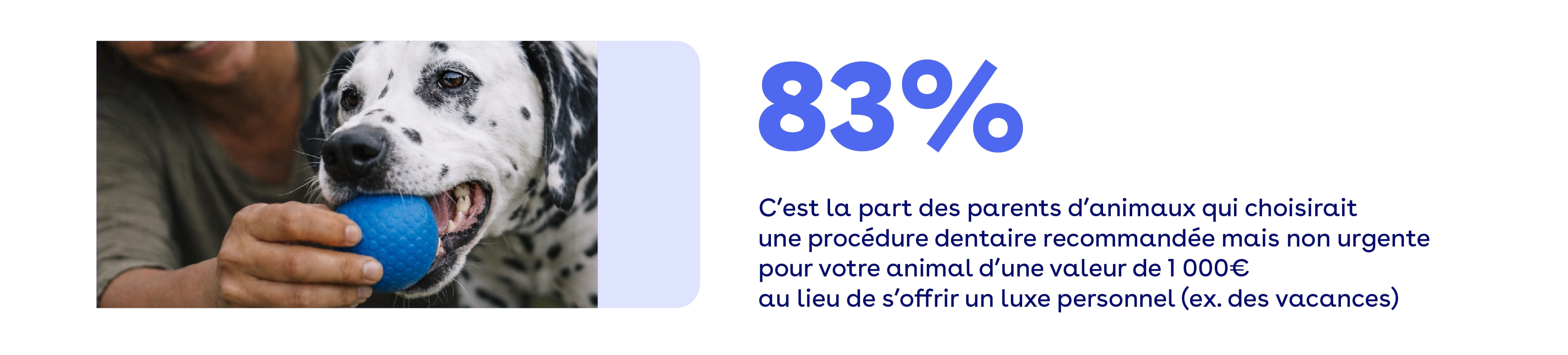 83% des parents d'animaux choisirait une procédure dentaire non urgente au lieu d'un luxe personnel