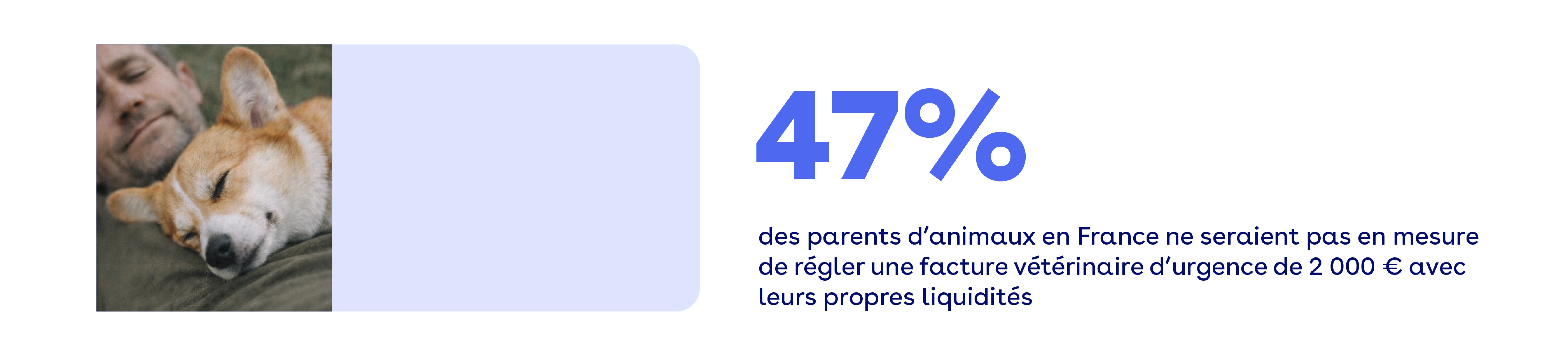 47% des parents d'animaux ne seraient pas en mesure de régler une facture vétérinaire d'urgence
