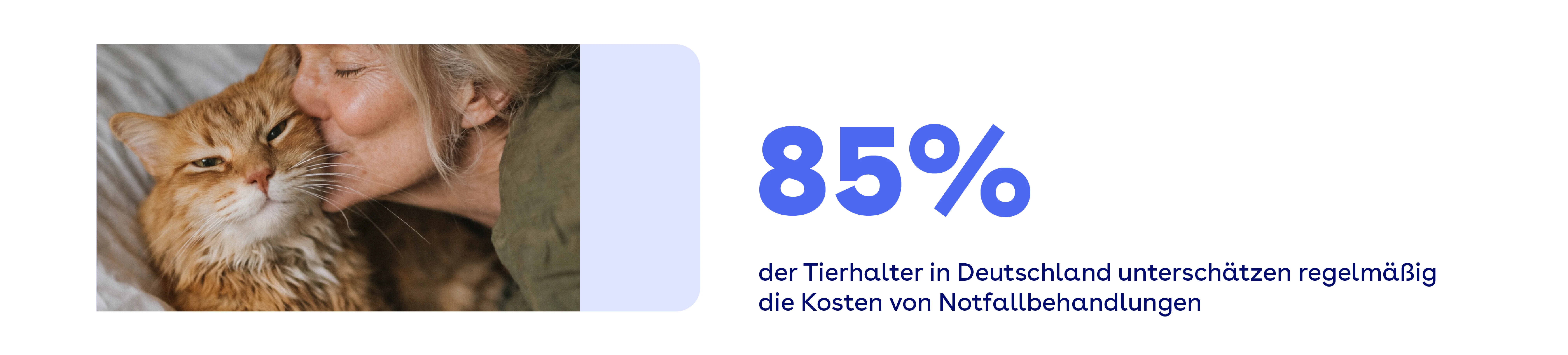 85% der Tierhalter in Deutschland unterschätzen regelmäßig die Kosten von Notfallbehandlungen