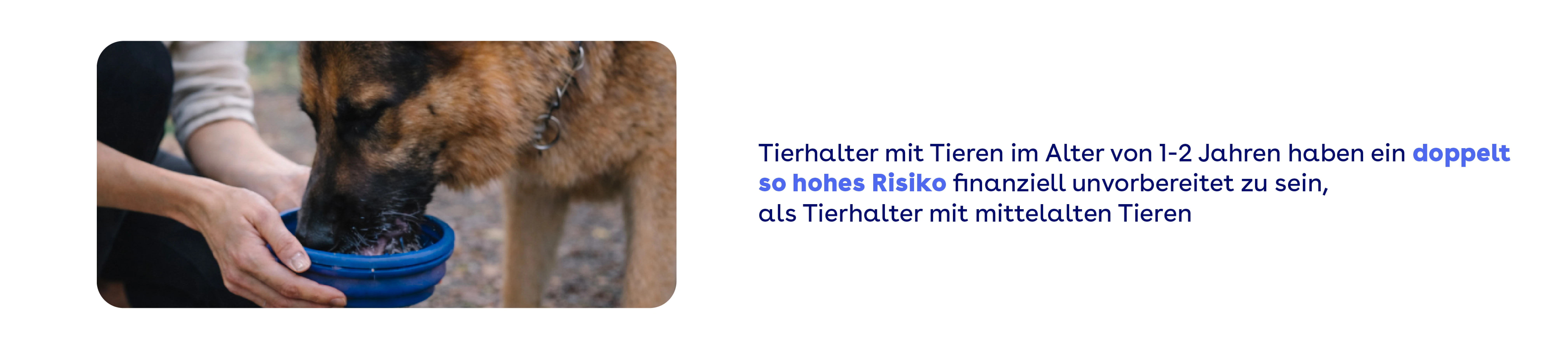 Tierhalter mit Tieren im Alter von 1-2 Jahren haben ein doppelt so hohes Risiko finanziell unvorbereitet zu sein, als Tierhalter mit mittelalten Tieren