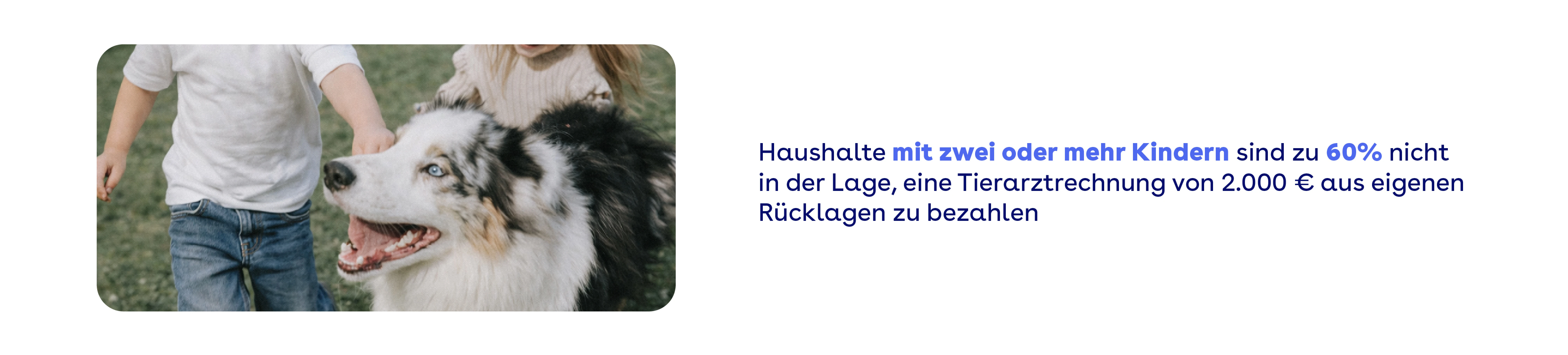 Haushalte mit zwei oder mehr Kindern sind zu 60% nicht in der Lage, eine Tirarztrechnung von 2.000€ aus eigenen Rücklagen zu bezahlen