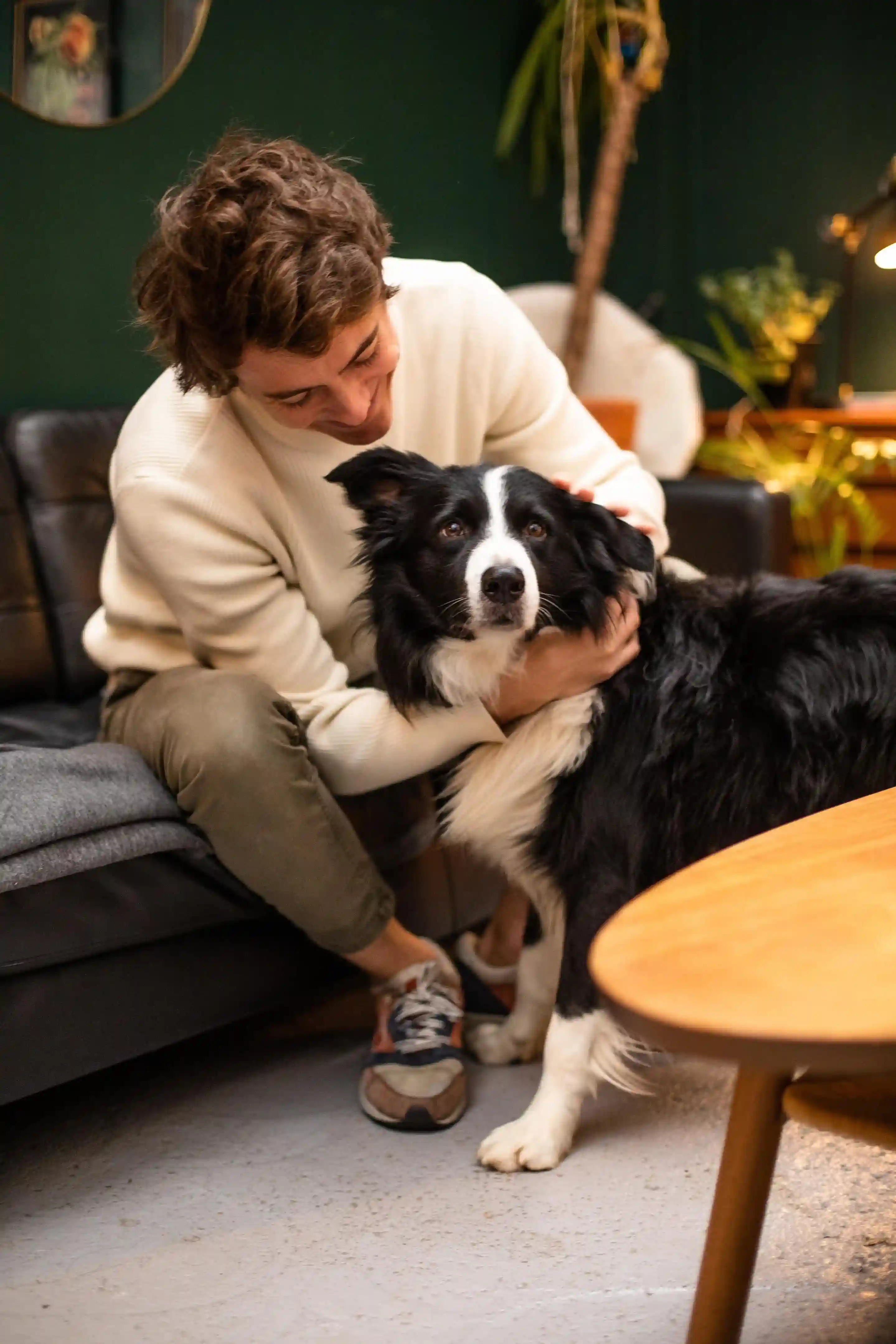 Est-ce rentable de prendre une assurance pour chien ?