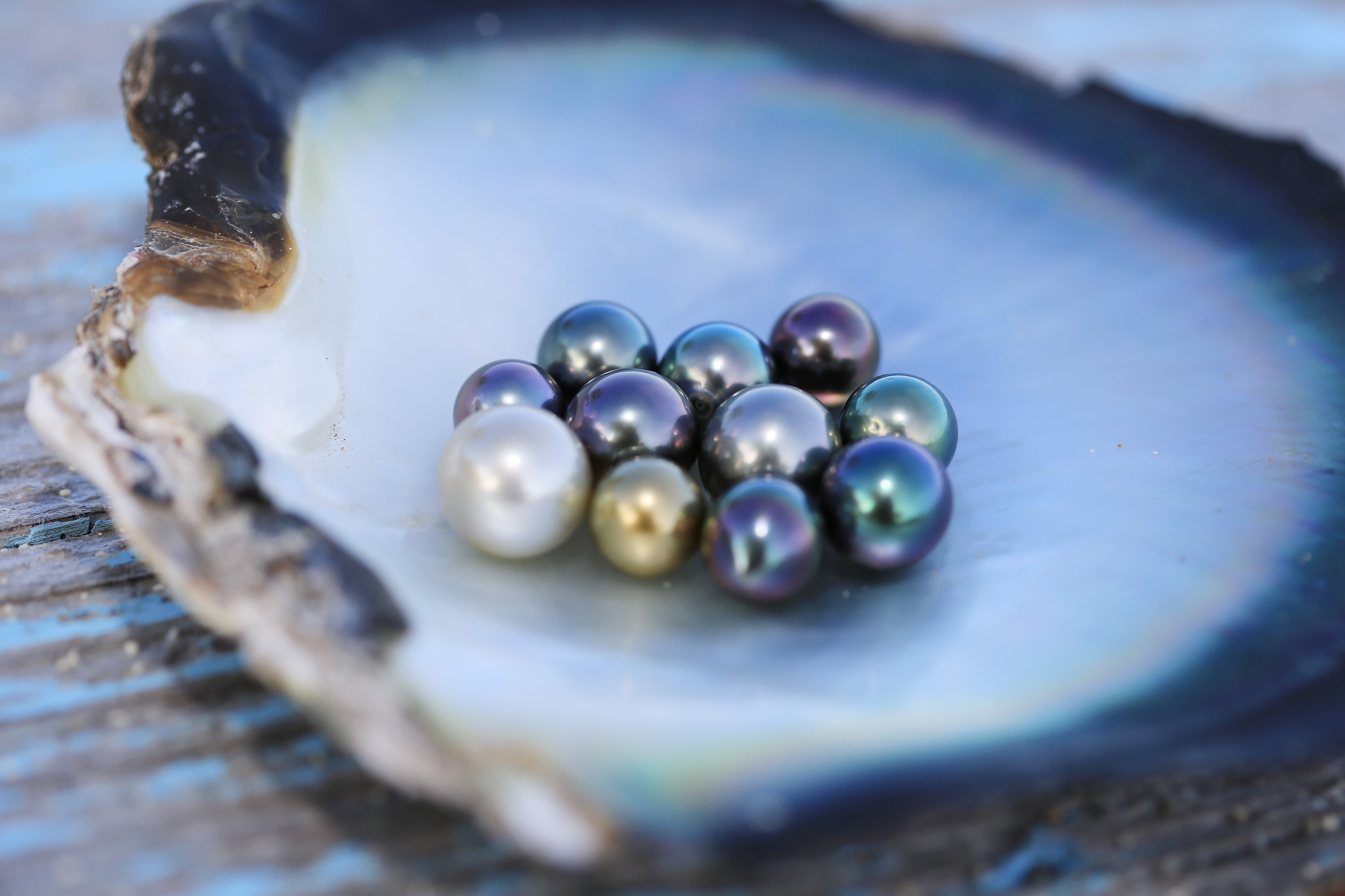 Robert Wan: The Vision Behind Tahitian Pearl Excellence