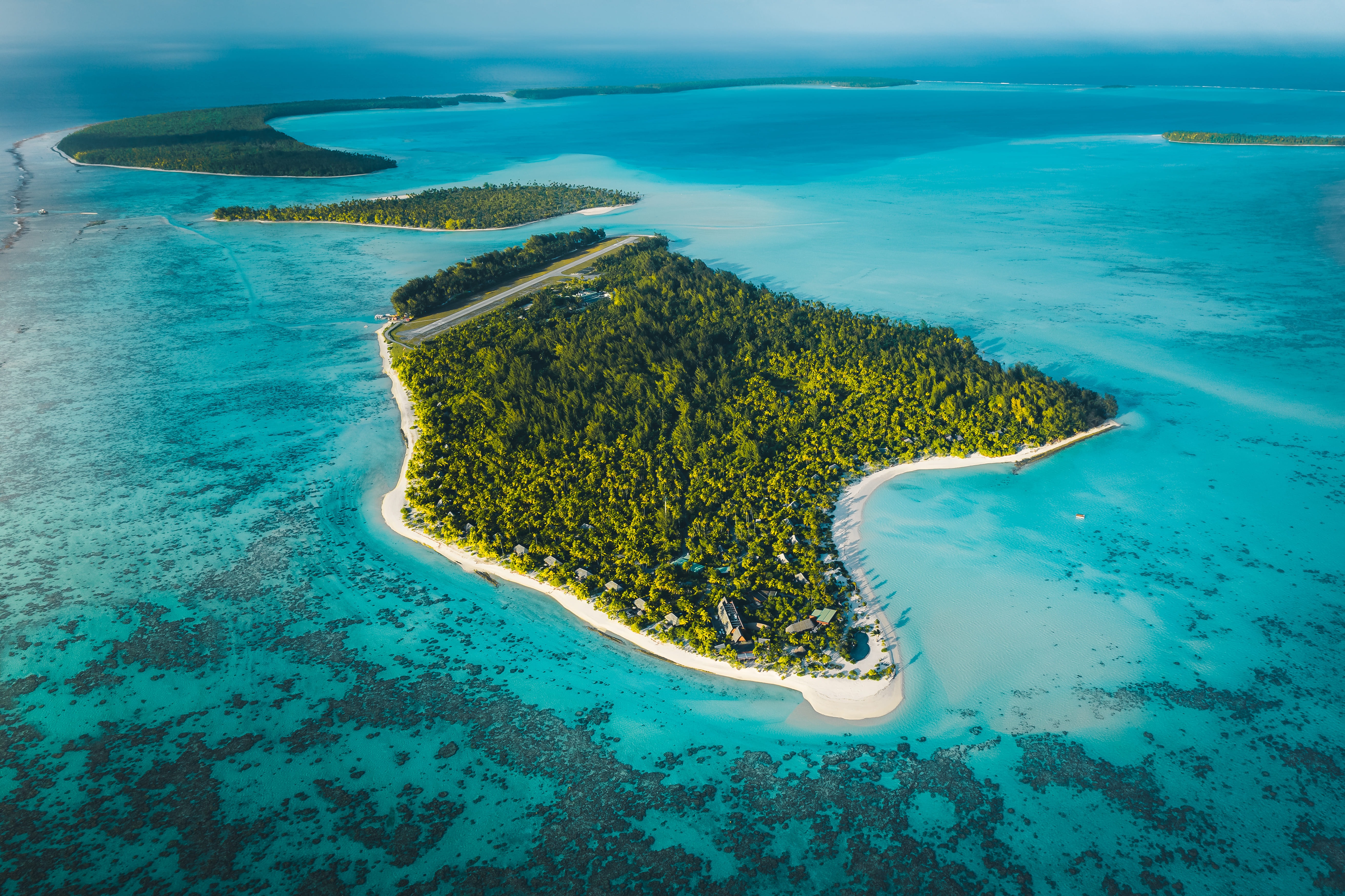 The Brando: A Sanctuary of Reconnection and Commitment to Conservation