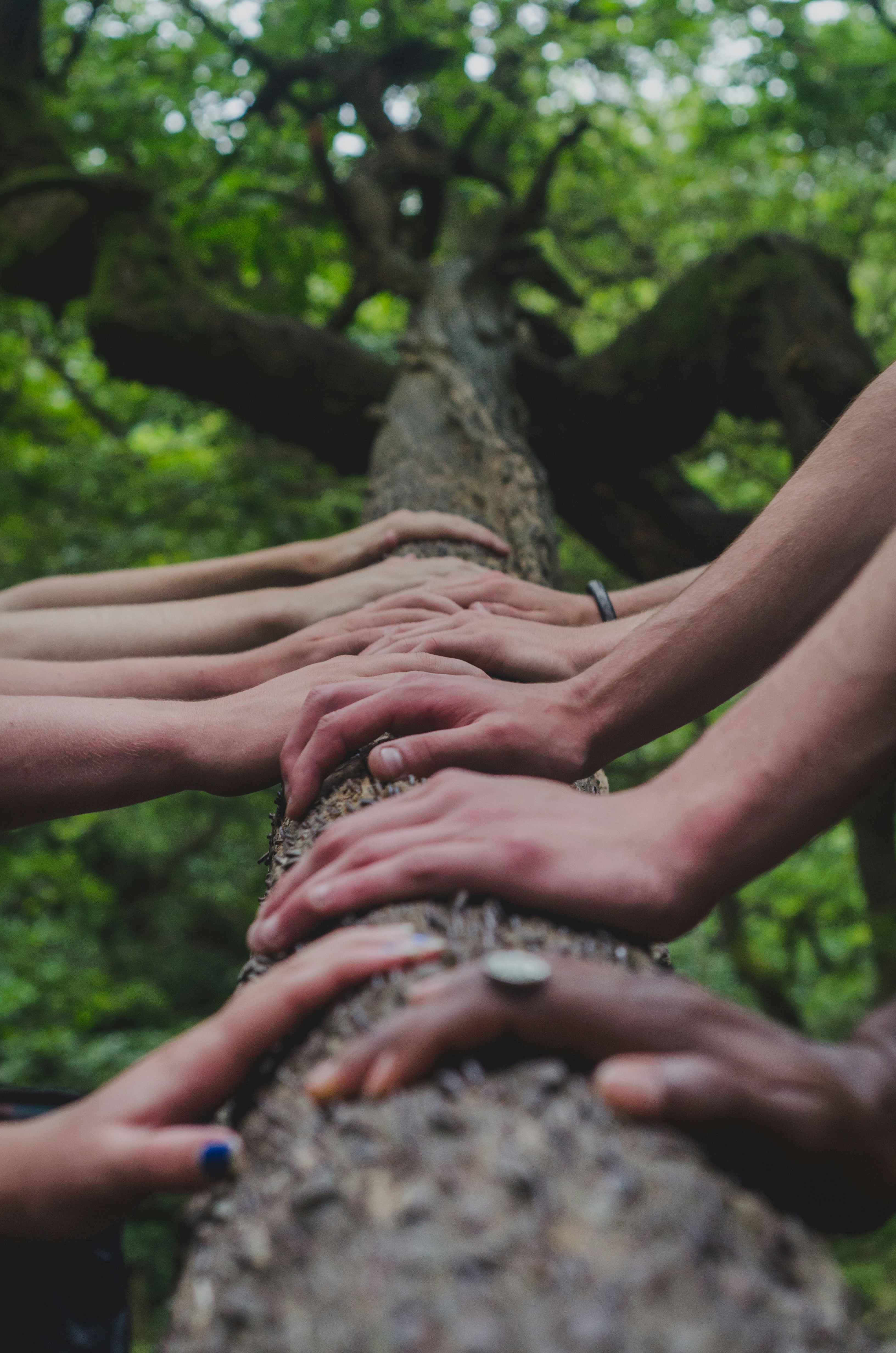 People & Organisation
