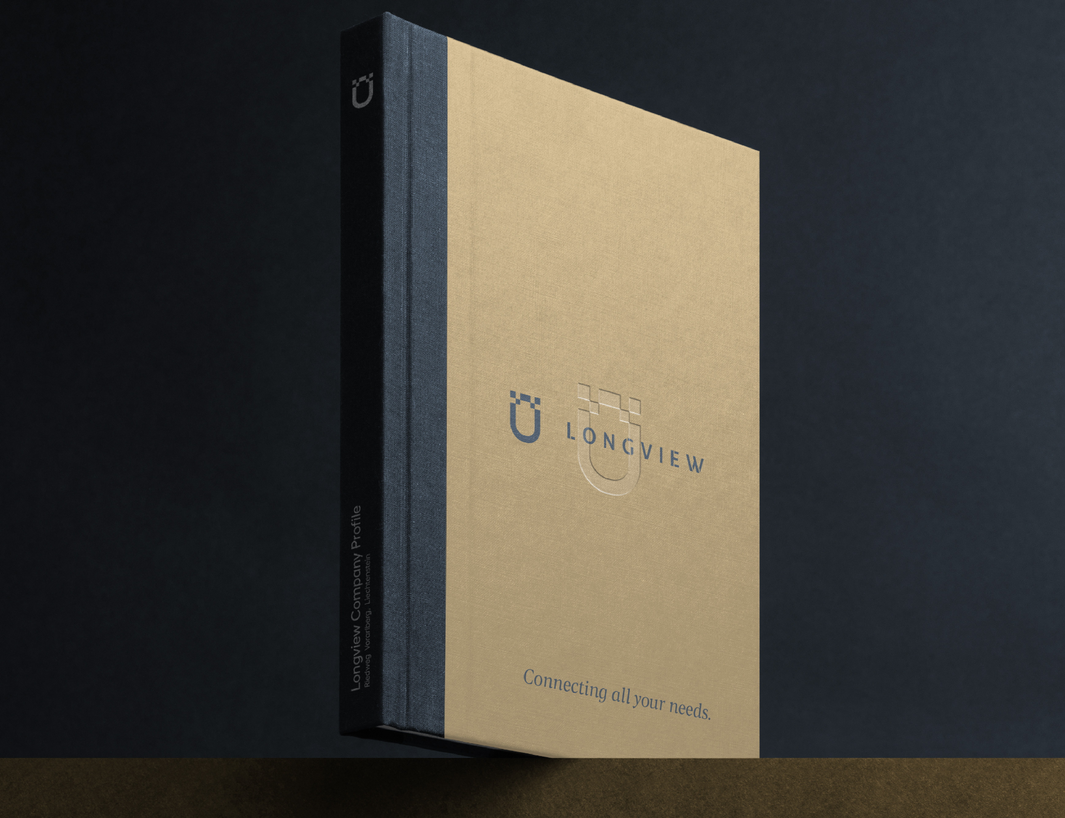 modern luxury and minimal brand identity design for a fintech company