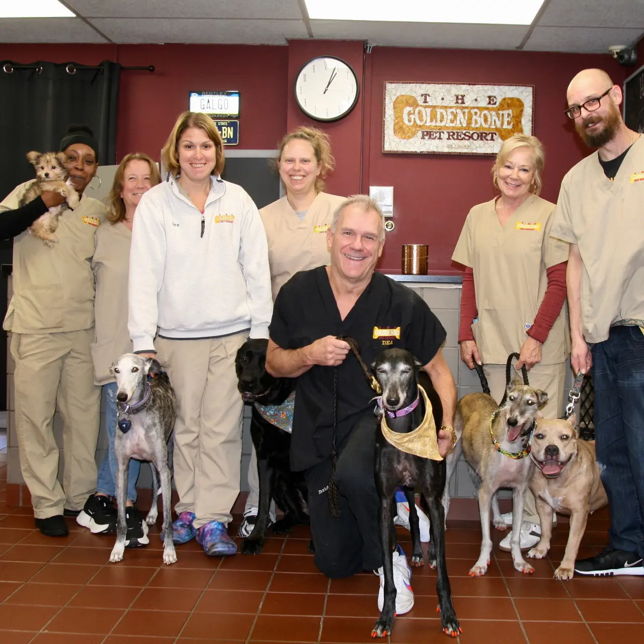 Golden Bone Pet Resort staff posing with their dogs