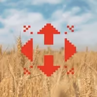 Нова Пошта